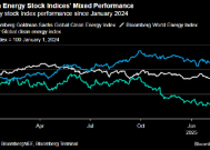 报告：2024年投资者在部分绿色能源股中找到价值